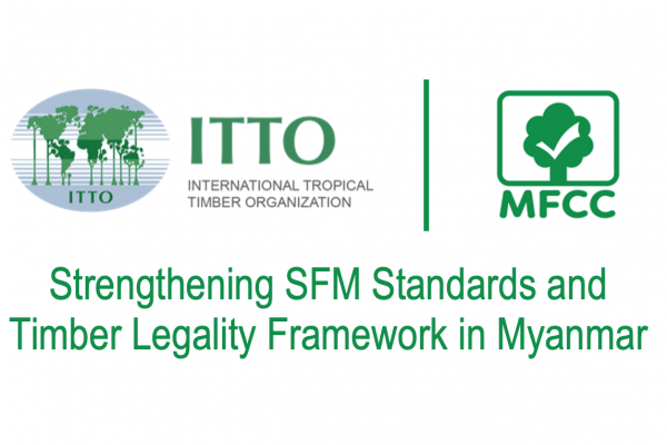 Vacancy announcement for International Consultant of MFCC-ITTO Project
